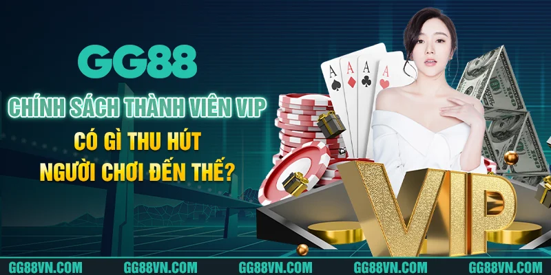 Chính sách thành viên VIP có gì thu hút người chơi đến thế? Chính sách thành viên VIP có gì thu hút người chơi đến thế?