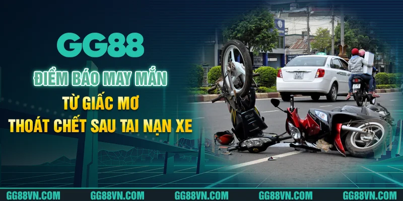 Điềm báo may mắn từ giấc mơ thoát chết sau tai nạn xe Điềm báo may mắn từ giấc mơ thoát chết sau tai nạn xe