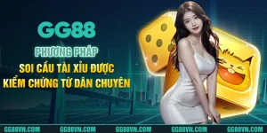 Phương Pháp Soi Cầu Tài Xỉu Được Kiểm Chứng Từ Dân Chuyên