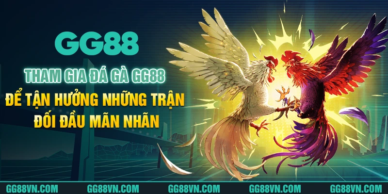 Tham gia đá gà GG88 để tận hưởng những trận đối đầu mãn nhãn